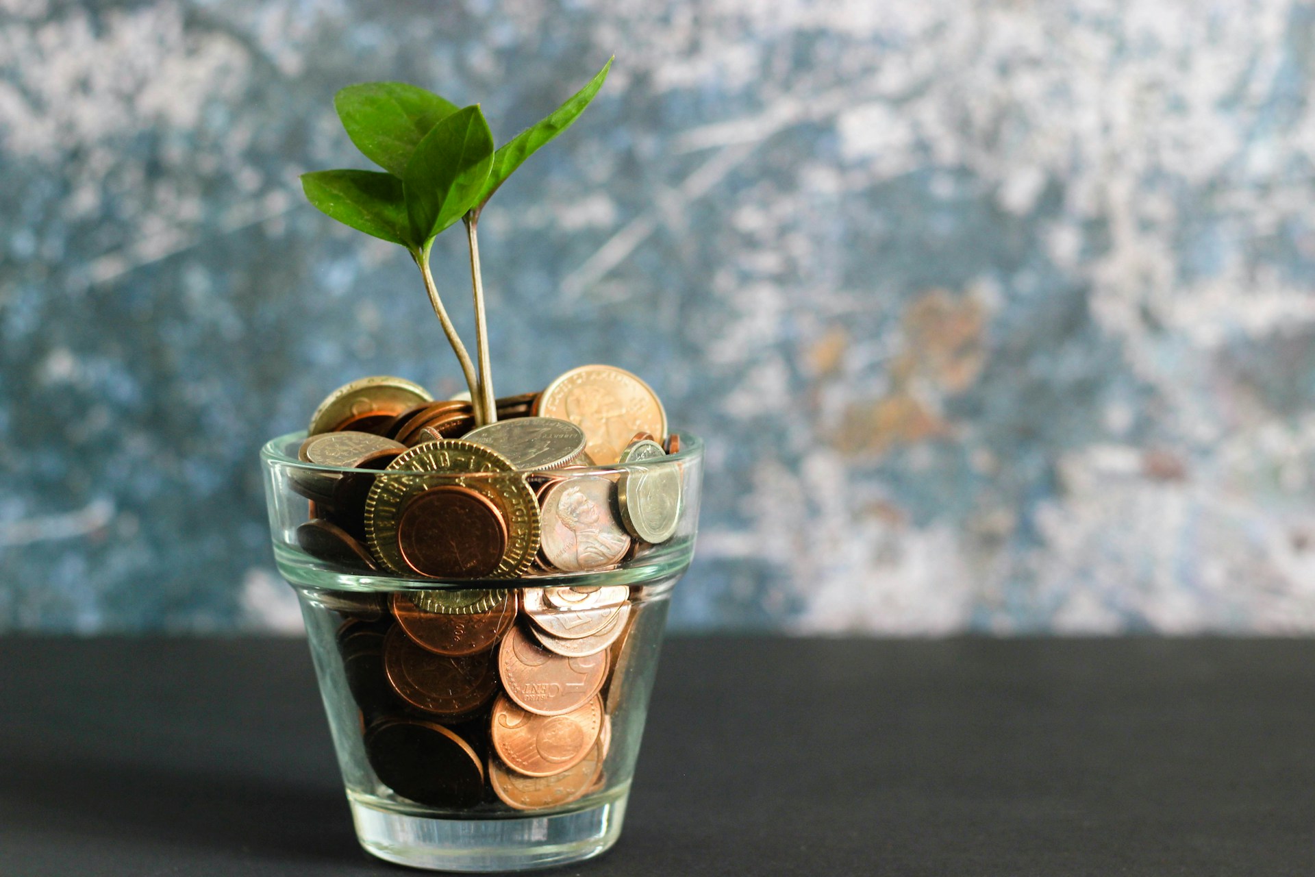 Financial growth and investment